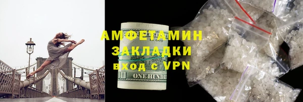 гашик Алексин
