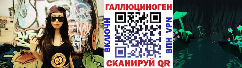 hydra как зайти  Курск  Псилоцибиновые грибы мицелий 