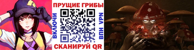 Псилоцибиновые грибы прущие грибы Курск