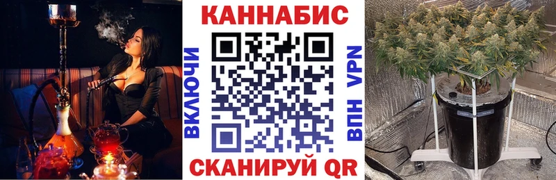 Конопля SATIVA & INDICA  купить наркотики сайты  Курск 
